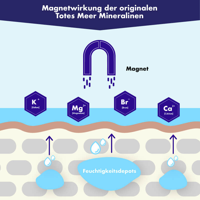 Infografik Magnetische Wirkung Totes Meer Mineralien