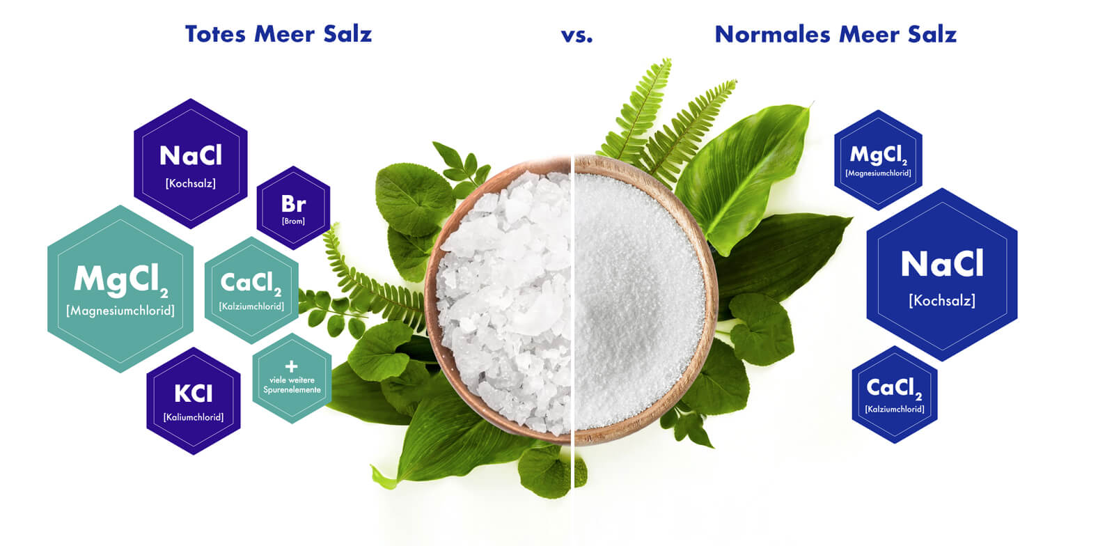 Infografik Totes Meer Salz vs. Normales Meer Salz